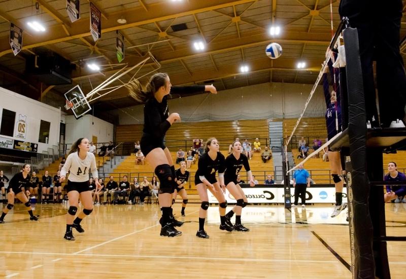 Volleyball game at Metheny